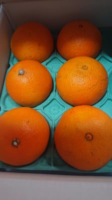 お礼の品の感想画像 1