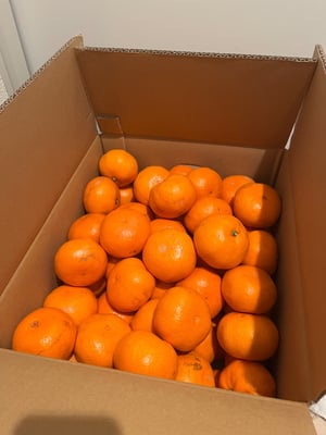 お礼の品の感想画像 1