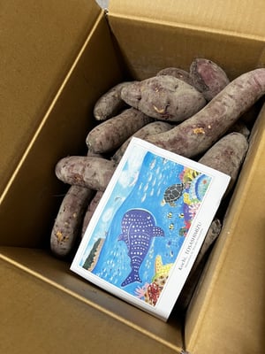 お礼の品の感想画像 2