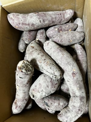 お礼の品の感想画像 3