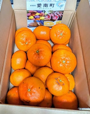 お礼の品の感想画像 1