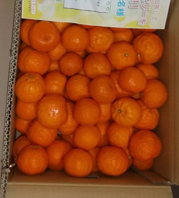 お礼の品の感想画像 1
