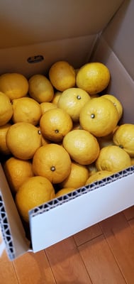 お礼の品の感想画像 1