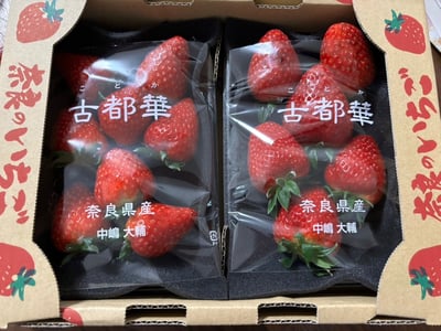 予約販売開始！】厳選 大ちゃんの 古都華（270g入×4パック