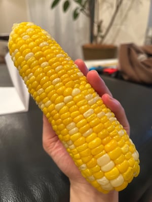 お礼の品の感想画像 1