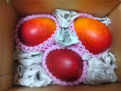 お礼の品の感想画像 1