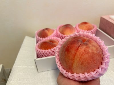 お礼の品の感想画像 3