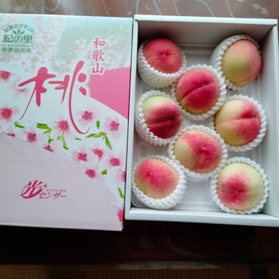 お礼の品の感想画像 1