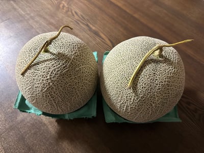 お礼の品の感想画像 1