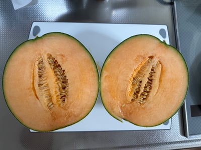お礼の品の感想画像 3