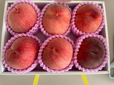 お礼の品の感想画像 1