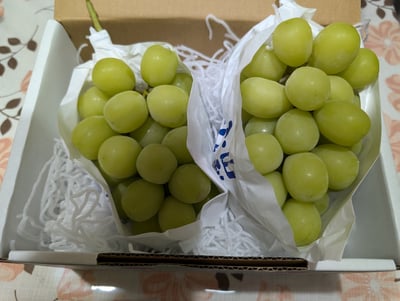 お礼の品の感想画像 1