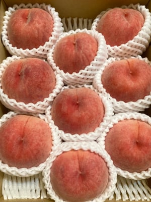 お礼の品の感想画像 1