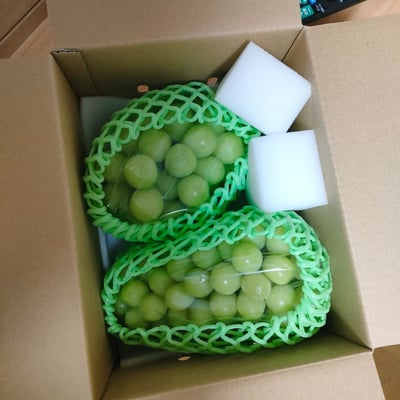 お礼の品の感想画像 1