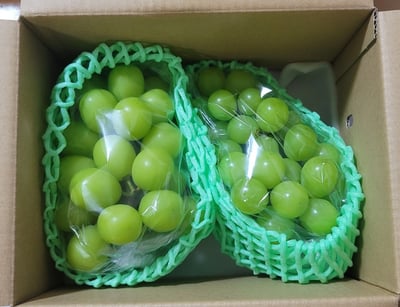 お礼の品の感想画像 1