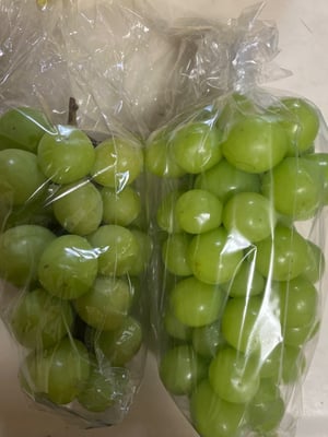 お礼の品の感想画像 1