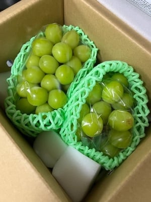 お礼の品の感想画像 1