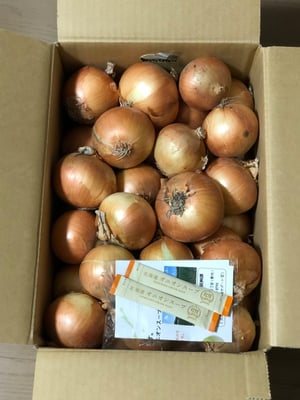 お礼の品の感想画像 2