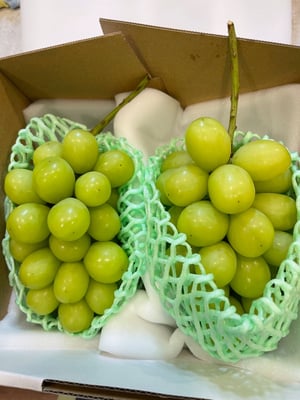 お礼の品の感想画像 1