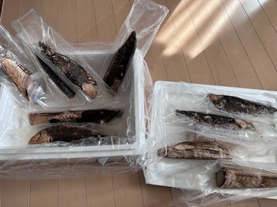 お礼の品の感想画像 1