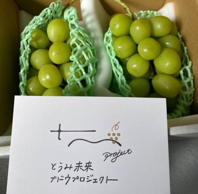 お礼の品の感想画像 1