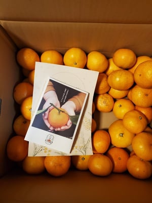 お礼の品の感想画像 1