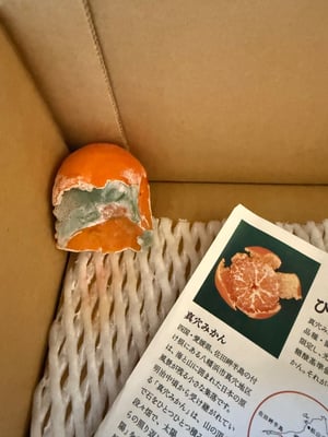 旬香物産株式会社のお礼の品 - 愛媛県八幡浜市| ふるさと納税 [ふるさとチョイス]｜ふるさとチョイス - ふるさと納税サイト