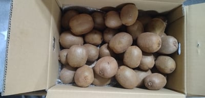 お礼の品の感想画像 1