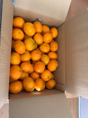 お礼の品の感想画像 1
