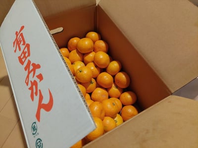 お礼の品の感想画像 2