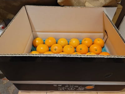 お礼の品の感想画像 1