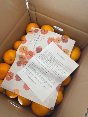 お礼の品の感想画像 1