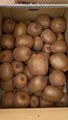 お礼の品の感想画像 1