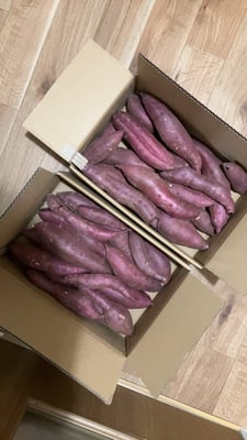 お礼の品の感想画像 1