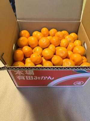 お礼の品の感想画像 2