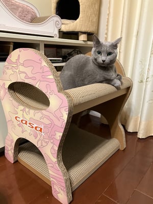 お礼の品の感想画像 1