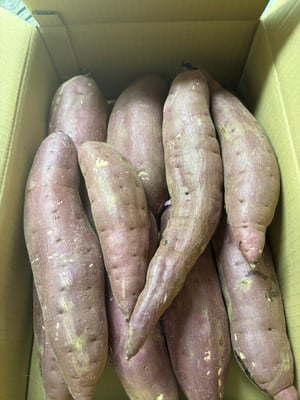お礼の品の感想画像 1