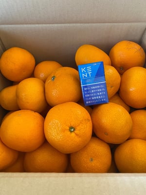 お礼の品の感想画像 1