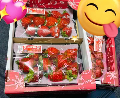 お礼の品の感想画像 1