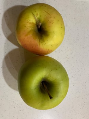 お礼の品の感想画像 1
