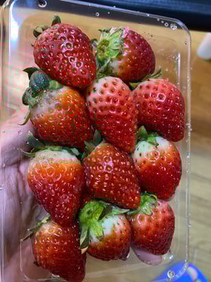 お礼の品の感想画像 1