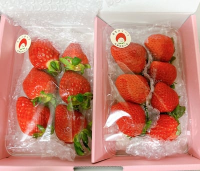 ②【いちごさま】ご購入品 産地直送完熟いちご 200g×2P 不揃い 少量パック さがほのか