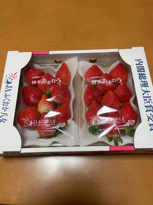 お礼の品の感想画像 1
