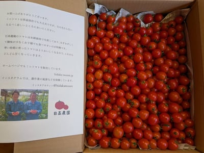 お礼の品の感想画像 1