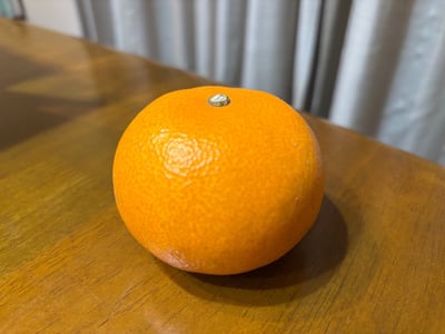 お礼の品の感想画像 1