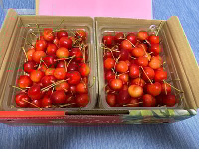 ★本日発送　山形県産　さくらんぼ　佐藤錦　Ｌサイズ　2kg ★ 楽天市場】【ふるさと納税】さくらんぼ 佐藤錦 厳選 2Lサイズ