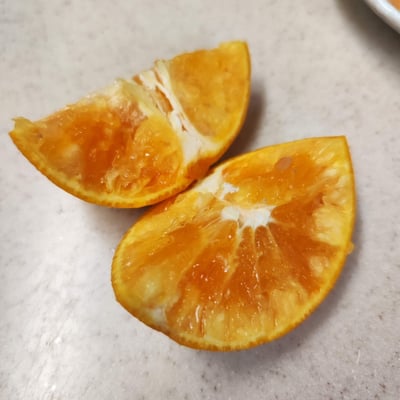 お礼の品の感想画像 1