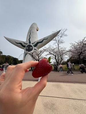お礼の品の感想画像 2