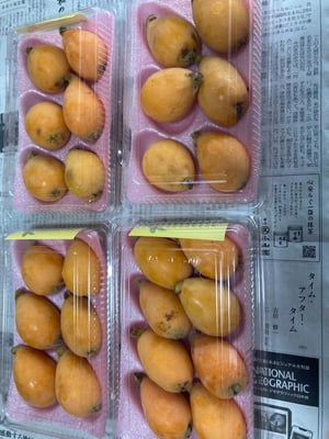 お礼の品の感想画像 1