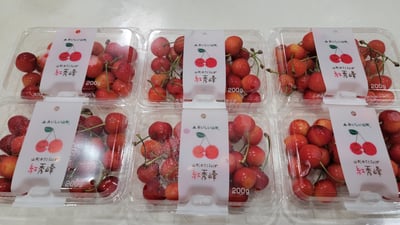 お礼の品の感想画像 1